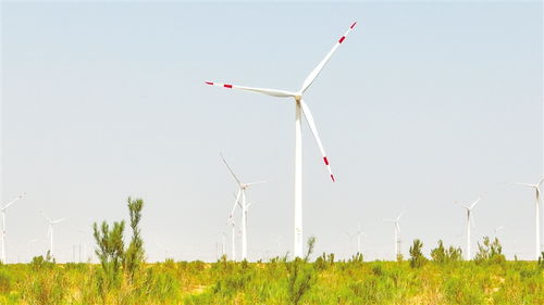 全國黨報 新媒體 甘肅武威調研行 天馬故里 大美涼州